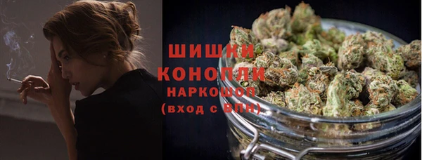 spice Мегион