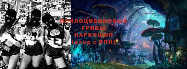 мескалин Медвежьегорск