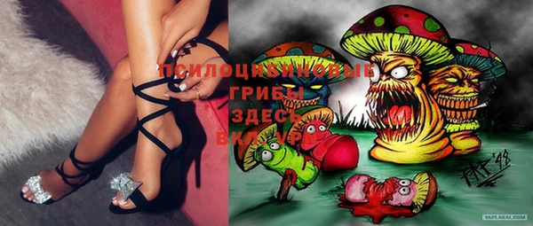 spice Мегион