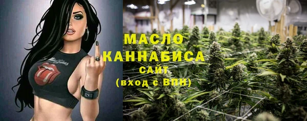 индика Вязьма